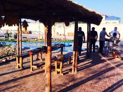 开心农场游玩攻略（三） 天阳庄园，助您实现绿色梦想与台球乐趣